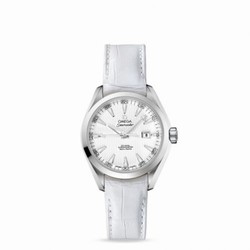 Omega Seamaster Aqua Terra 150M Co-Axial 34 Stainless Steel / Silver 231.13.34.20.04.001