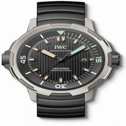 IWC Aquatimer Automatic 2000 Titanium / Cronotempvs IW3580-03