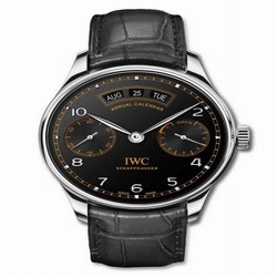 IWC Portugieser Annual Calendar Stainless Steel / Pisa IW5035-07