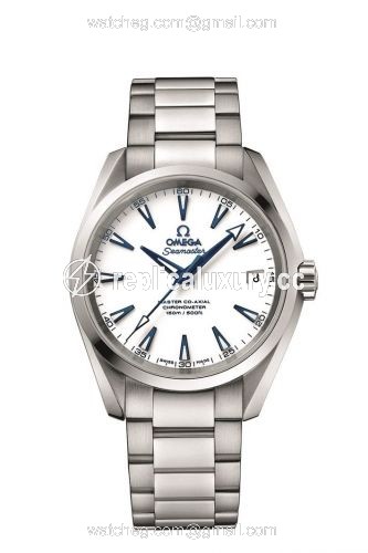 Omega Seamaster Aqua Terra 150M Master Co-Axial 38.5 Titanium / White / Bracelet / GoodPlanet 231.90.39.21.04.001