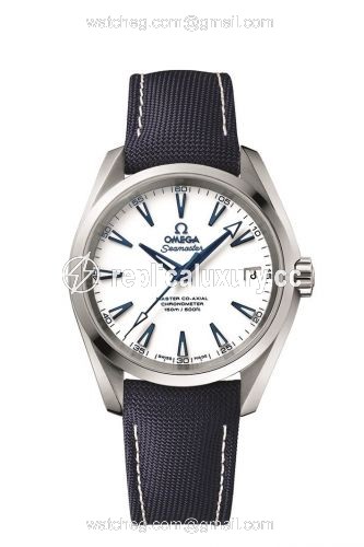Omega Seamaster Aqua Terra 150M Master Co-Axial 38.5 Titanium / White / GoodPlanet 231.92.39.21.04.001