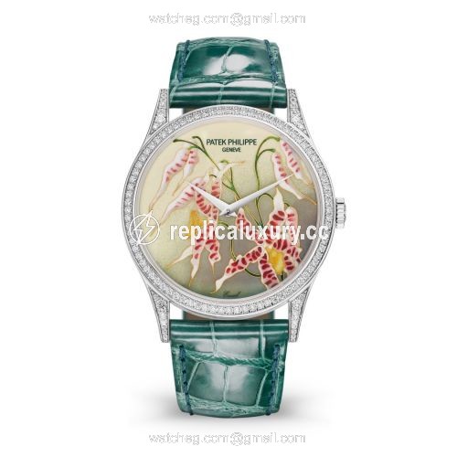 Patek Philippe Calatrava 5077 White Gold / Diamond / Orchids 5077/100G-032