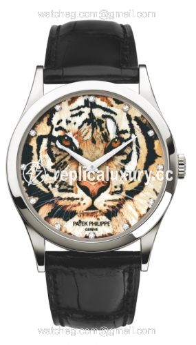 Patek Philippe Calatrava 5077 Royal Tigers 5077P-065 