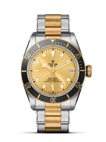 Tudor Heritage Black Bay Black S&G / Stainless Steel / Yellow Gold / Champagne / Bracelet 79733N-0004