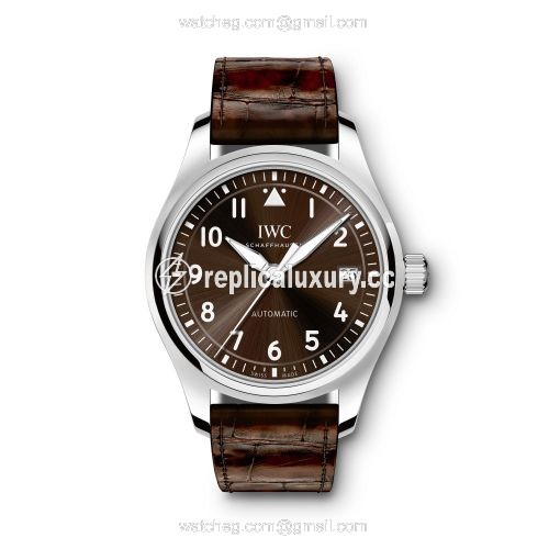 IWC Pilot's Watch 36 Antoine de Saint-Exupery IW3240-09