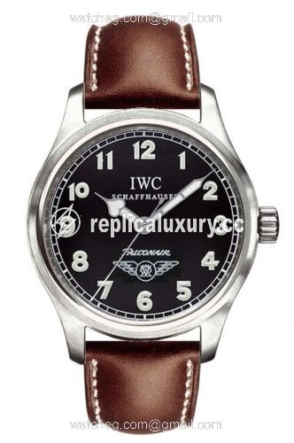 IWC Pilot's Watch Mark XV Stainless Steel / Black / Falconair IW3253-08