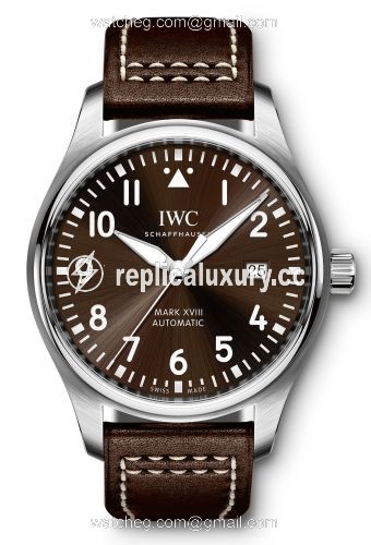 IWC Pilot's Watch Mark XVIII Antoine de Saint Exupery IW3270-03