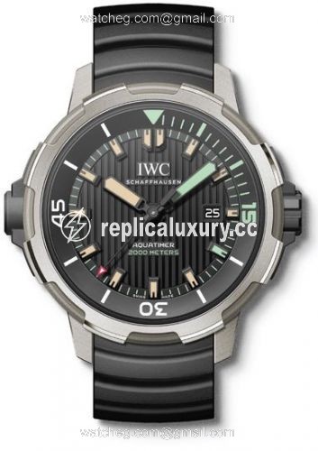 IWC Aquatimer Automatic 2000 Titanium / Cronotempvs IW3580-03