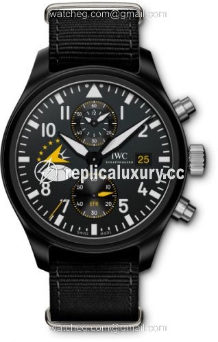 IWC Pilot's Watch Chronograph Military Edition Eagles IW3890-15